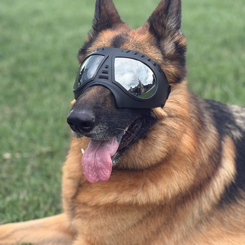 Snow Goggle Uv - Huisdierbrillen voor middelgrote en grote honden