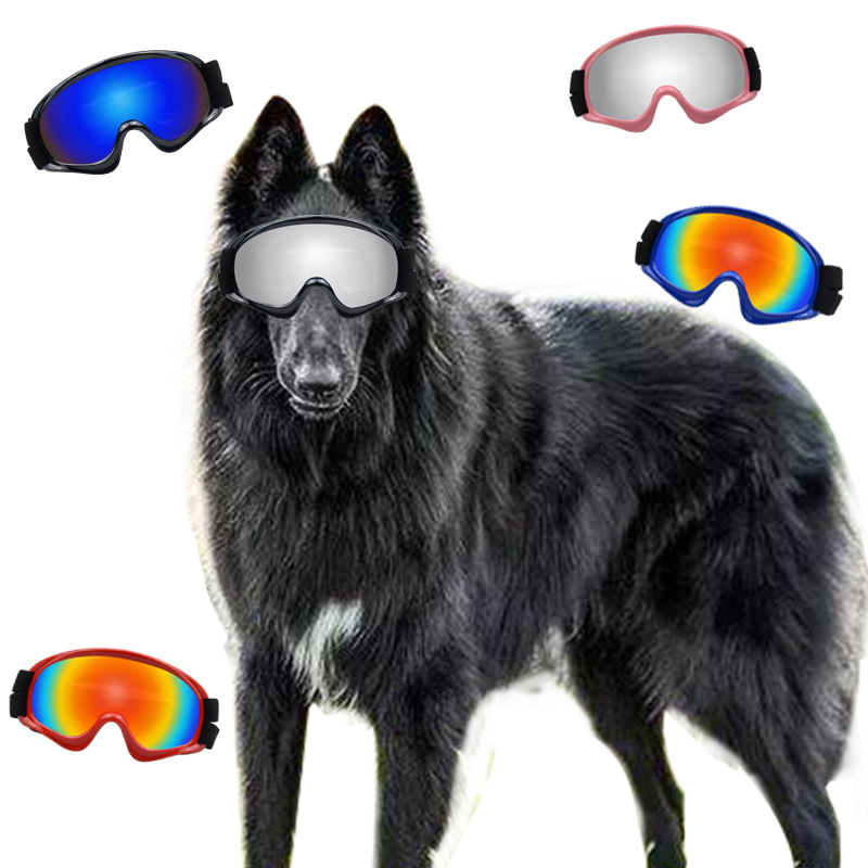 Hondenbrillen voor huisdieren, - Snow Goggle Uv recensie en prijs