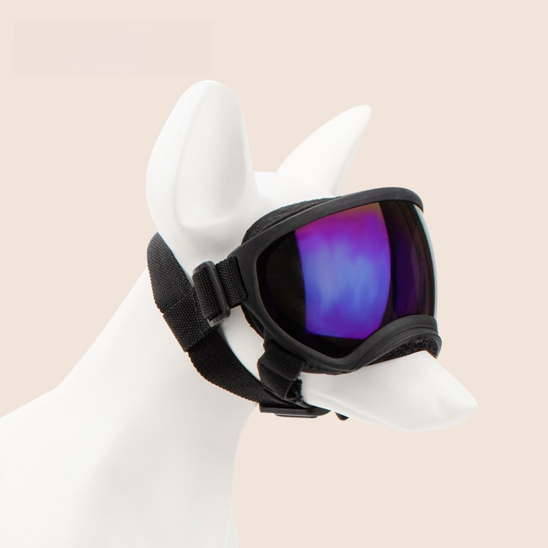 Hondenbril Outdoor Skiën Windd - Snow Goggle Uv recensie en prijs