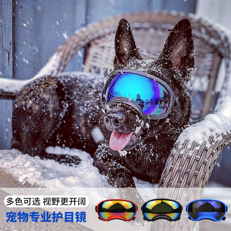 Hondenbril Outdoor Skiën Windd - Snow Goggle Uv recensie en prijs